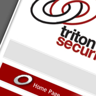 triton security