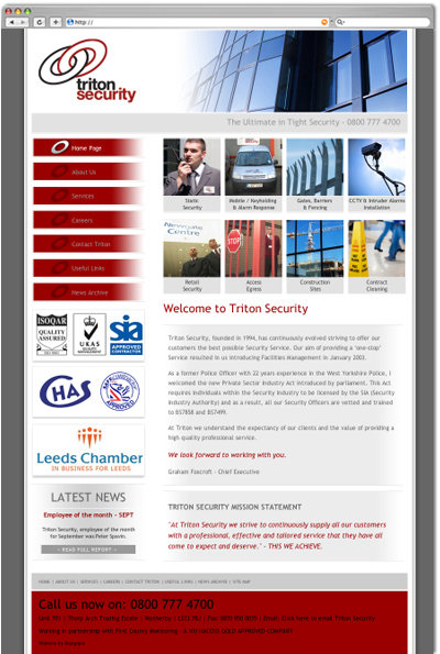 Triton Security website
